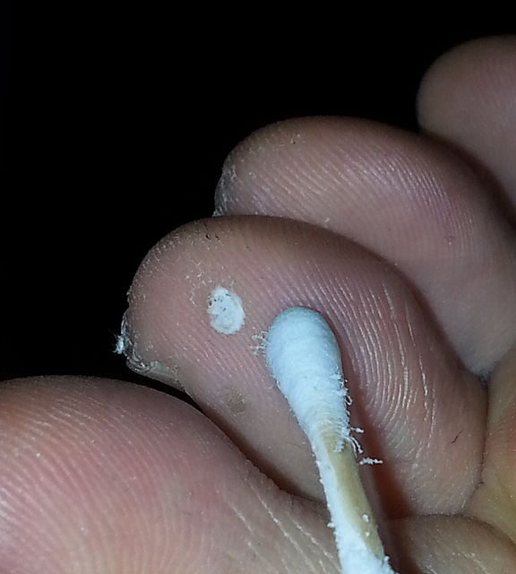 jelly cleanser drunk elephant