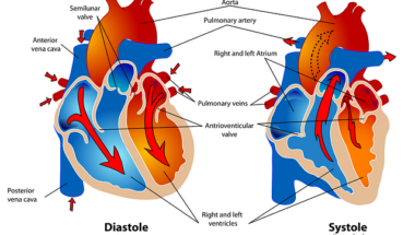 Cardiovascular Care in Humble TX